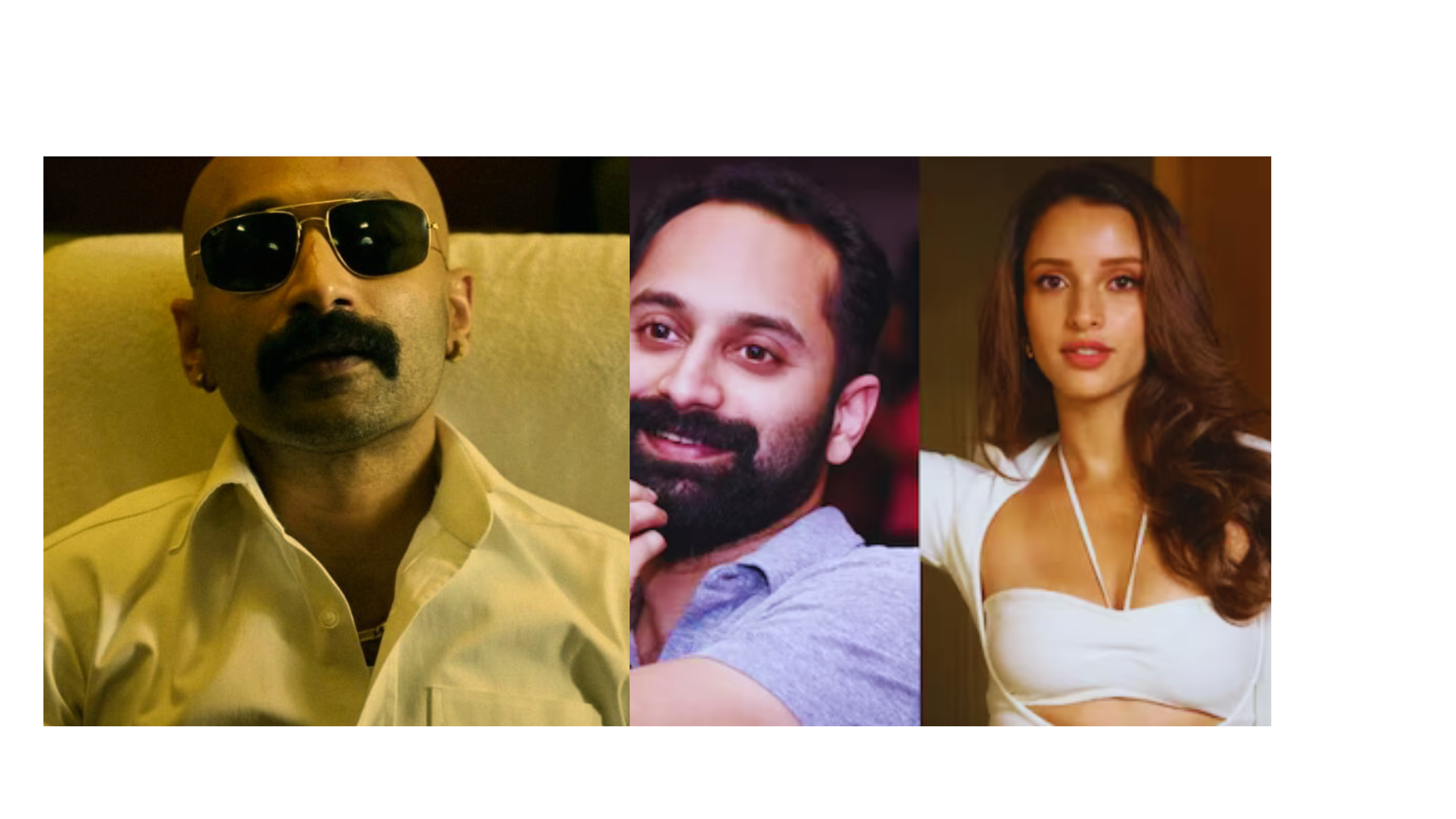 इम्तियाज अली की आने वाली फिल्म में त्रिप्ति डिमरी के साथ बॉलीवुड में डेब्यू करें गे फहाद फासिल