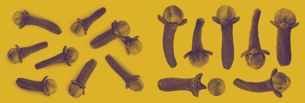 लौंग के फायदे: प्रकृति का छोटा सा पावर हाउस